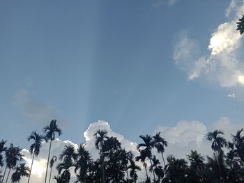 Low angle view of coconut palm trees against blue sky