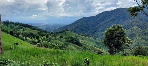 Scenic view of landscape against sky