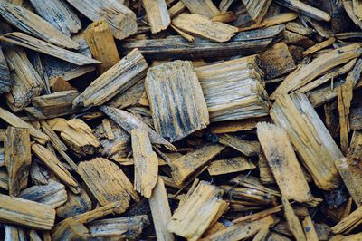 Full frame shot of logs in forest