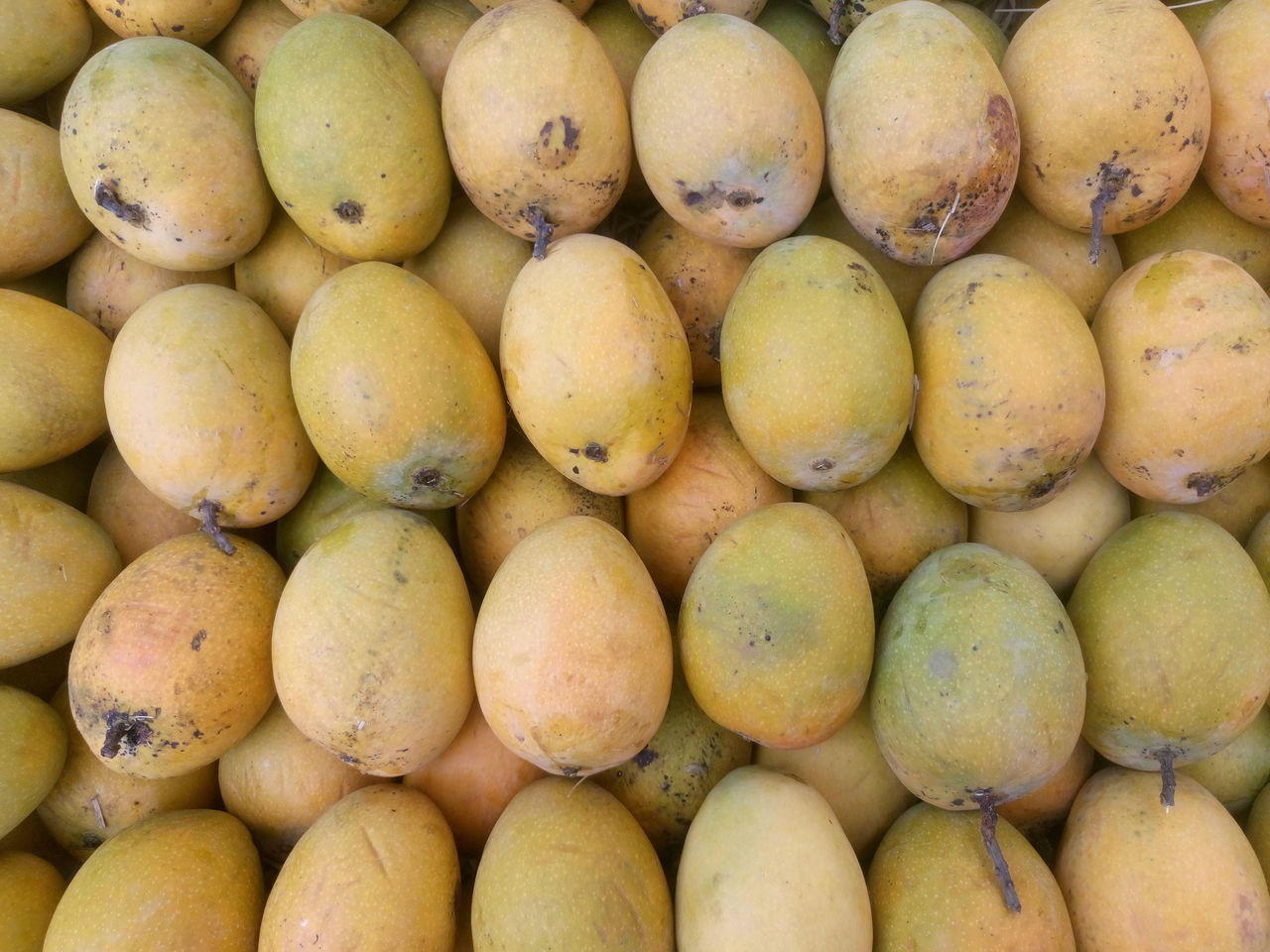 FULL FRAME SHOT OF FRUITS FOR SALE