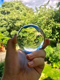 Cropped hand holding crystal ball against trees