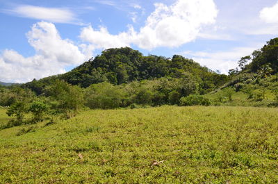 Scenic view of landscape against cloudy sky