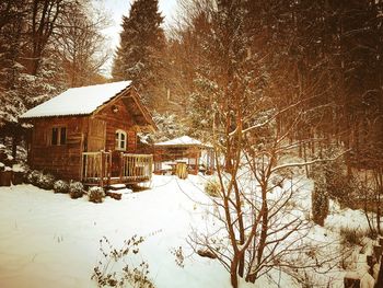 House and bare trees against sky during winter