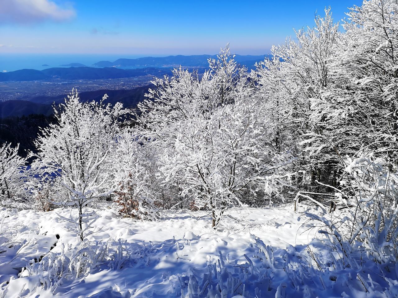 VIEW OF SNOW COVERED LAND AGAINST SKY