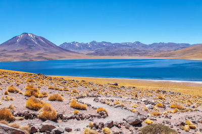 Scenic view of lake against clear blue sky