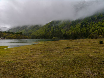 Rainy day in the bavarian alps near mittersee, seegatterl 