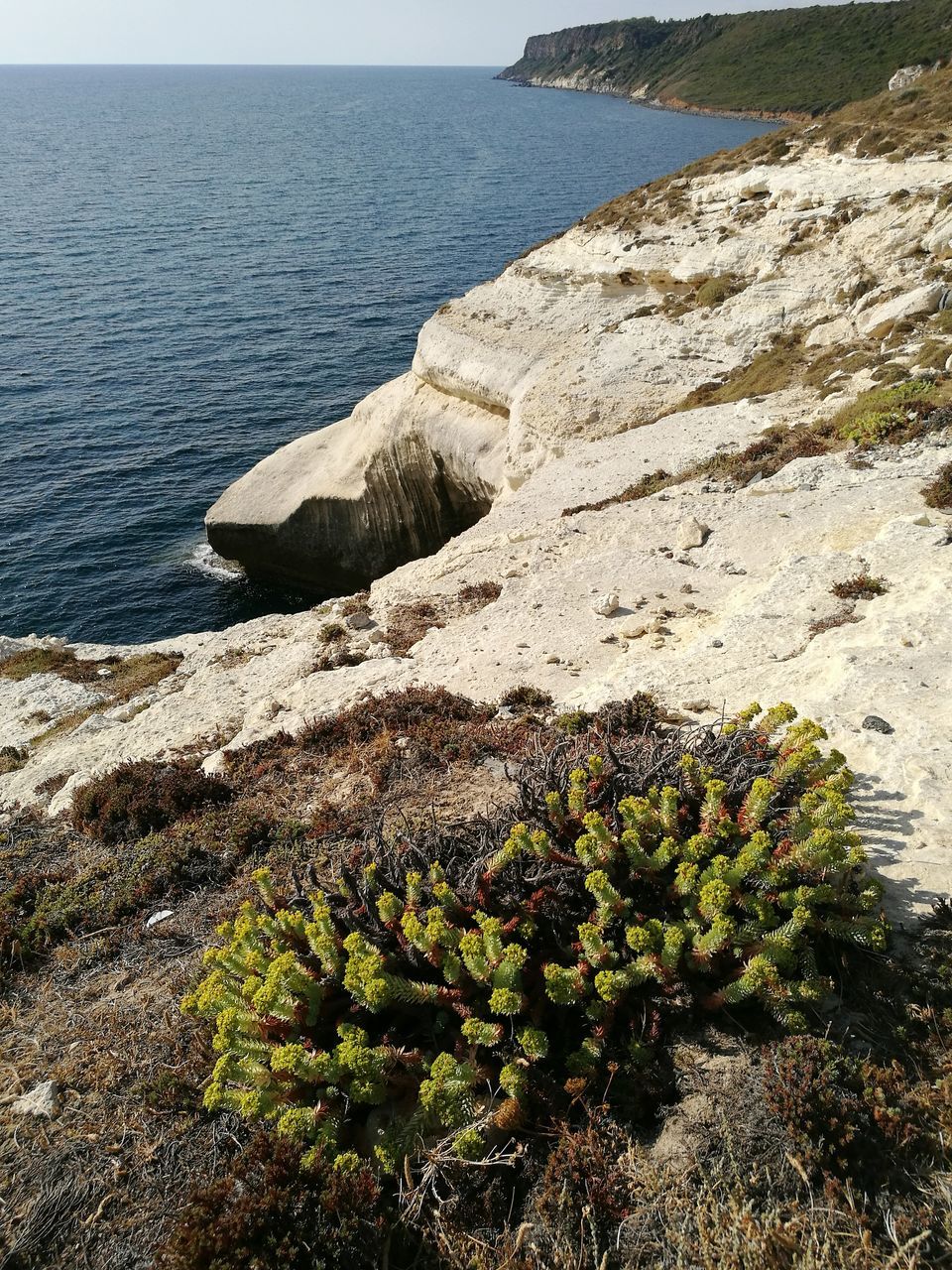 sea, water, horizon over water, beach, tranquil scene, scenics, nature, beauty in nature, shore, tranquility, cliff, sunlight, summer, sunny, tourism, plant, rocky, non-urban scene, outdoors, rock formation, day, coastline, geology, vacations, rock, calm, sky, physical geography, seascape