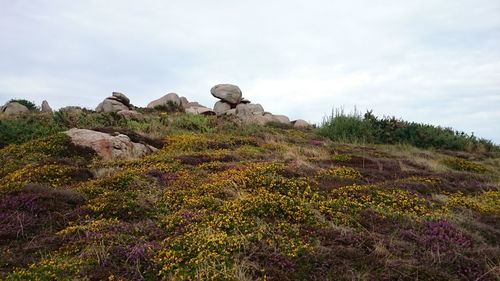 Rock formations on landscape against sky