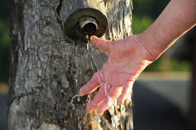 Man working on tree trunk