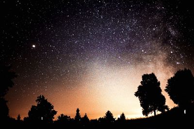 Low angle view of silhouette trees against sky at night