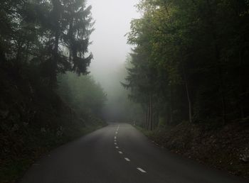 Empty road along trees in autumn 