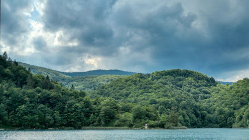 Scenic view of forest at lake kozjak against sky