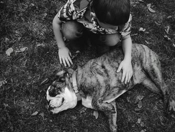 High angle view of boy with dog on grassy field