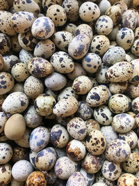 Full frame shot of food for sale at market