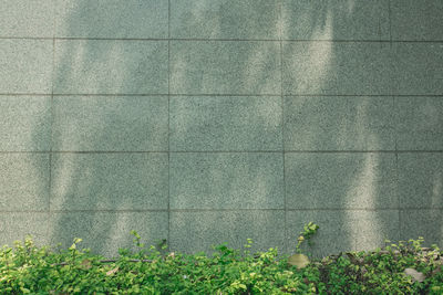 Full frame shot of patterned wall