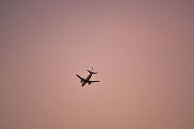 Low angle view of airplane flying against clear sky during sunset