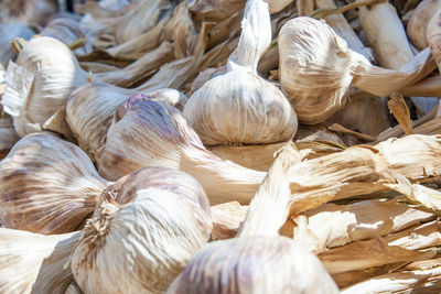 Full frame shot of garlic