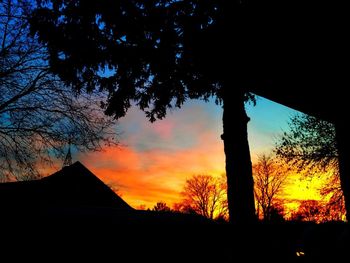 Low angle view of silhouette trees against sky during sunset