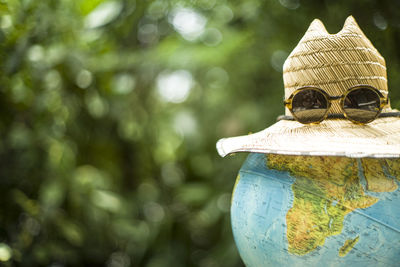 Close-up of sunglasses against trees