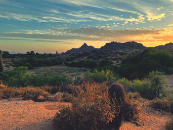 Scenic view of landscape against sky during sunset