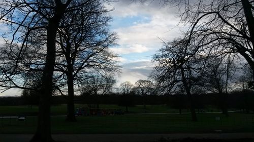 Bare trees on field against cloudy sky