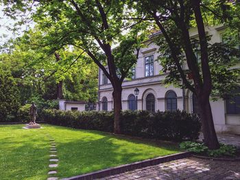 View of trees and building in park