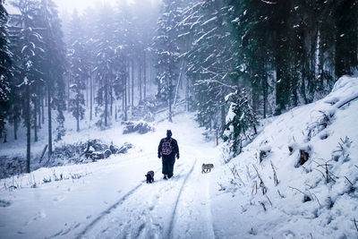 Man on snow covered land