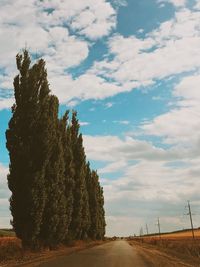 Trees on landscape against sky