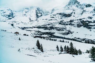 Scenic view of snow covered mountain