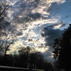 Low angle view of trees against cloudy sky