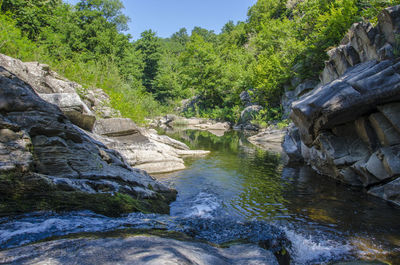 Stream flowing through rocks in forest