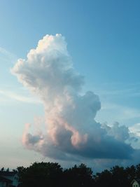 Low angle view of silhouette trees against sky