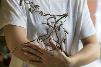 A spring tree branch with buds and a woman's hand on a white background. close-up.