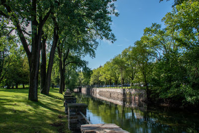 Scenic view of park against sky