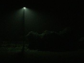 Silhouette trees against sky at night