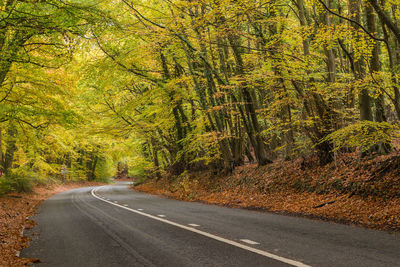 Road amidst trees in forest