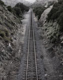 High angle view of railroad tracks amidst trees