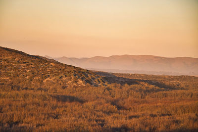 Scenic view of field against sky during sunset