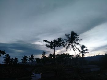 Silhouette palm trees against sky during sunset