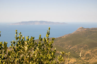 Scenic view of sea against clear sky