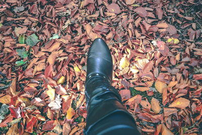 Low section of person wearing shoes on ground during autumn