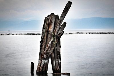 Wooden posts on beach against sky