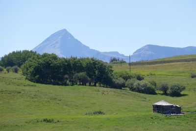 Scenic view of grassy field against sky