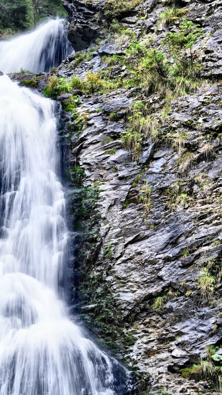 VIEW OF WATERFALL IN FOREST