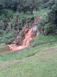 Scenic view of waterfall