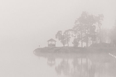 Reflection of trees in lake against sky