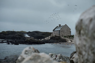 Birds flying over sea against sky