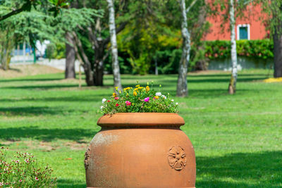 Flower pot in park