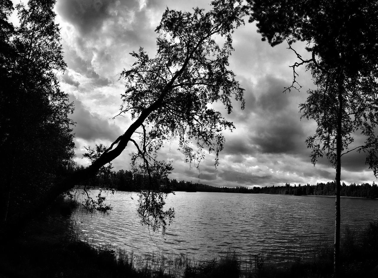 sky, tree, water, cloud - sky, tranquility, tranquil scene, cloudy, scenics, beauty in nature, nature, lake, cloud, weather, overcast, idyllic, non-urban scene, bare tree, outdoors, no people, growth, day, calm, remote, rippled, non urban scene, landscape