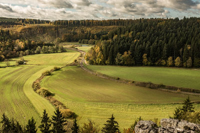 Scenic view of grassy field by trees